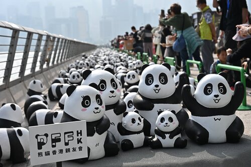 Pandas on parade in Tsim Sha Tsui! 2,500 panda sculptures and their new life-size member, PANDA GO! GUIDE, greeted Hong Kong people and visitors today (Dec 7) in Asia's events capital. Take a look at the lovely moments along the Avenue of Stars! #hongkong #brandhongkong… https://t.co/18FpDSA0qb https://t.co/UYQe67Jz5l