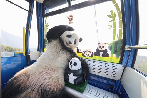 Panda day out! Our favourite panda sculptures and the PANDA GO! GUIDE arrived at #NgongPing360 today (Dec 14) to spend the weekend with fellow tourists and visitors! Come to Ngong Ping Village to ride on 5 panda-themed cable cars to enjoy the stunning views of Lantau Island and… https://t.co/3EOyT6qudg https://t.co/I318uR3fJ2