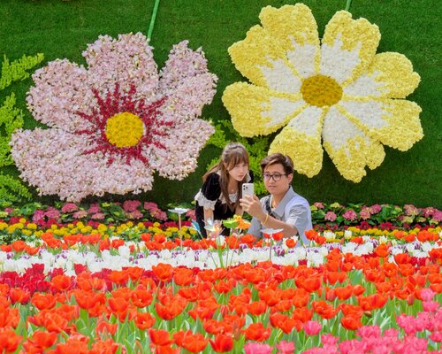 Glorious blooms! The Hong Kong Flower Show 2025 (March 14–23) is ready to set Victoria Park “Ablaze with Glory”! This year's theme features the vibrant Cosmos as its highlight, displayed across six stunning themed zones, alongside blooms from over 200 exhibitors representing 11… https://t.co/oWaVtVeqjM https://t.co/xpMb42GjUD