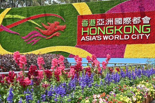 🌷🌸BLOOMING BLISS🌹🌺  Joy for flower lovers! Thousands of people flocked to Victoria Park for the first weekend of the Hong Kong Flower Show 2023 (Mar 10-19) to marvel at the variety of exotic flowers, profusion of potted plants, fancy floral arrangements and lush landscape displays. This year’s show - themed Bliss in Bloom - highlights the Hydrangea, with its splendid display of captivating colours while over 70 exhibitors from 10 countries add an international flavour to the event. Have you checked out the BrandHK flower wall?  #hongkong #brandhongkong #asiasworldcity #flowershow #LCSD #VictoriaPark  康文＋＋＋