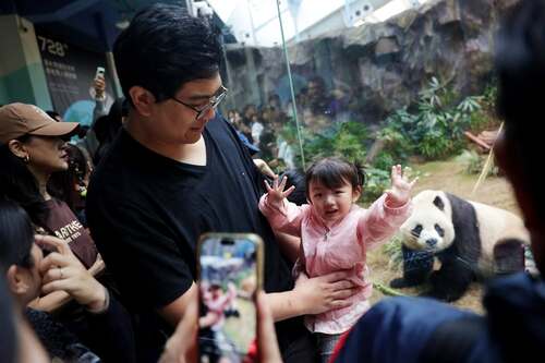 Dive into the captivating world of giant pandas🐼! Two giant pandas, An An and Ke Ke, who were gifted to Hong Kong by the Central Government made their highly anticipated public debut yesterday ( Dec 8 ), to the delight of visitors to their new home at Ocean Park Hong Kong. Panda fans around the world can also enjoy the excitement by watching a newly-launched live broadcast of An An and Ke Ke on the Ocean Park website during designated time slots. 🥰  Ocean Park Giant Panda Live https://pandalive.oceanpark.com.hk/en/  Photos: 香港海洋公園 Ocean Park Hong Kong  #hongkong #brandhongkong #asiasworldcity #panda #OceanPark #AnAn #KeKe