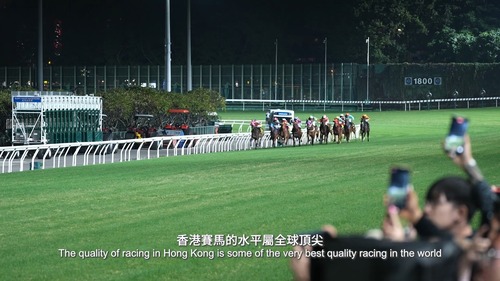 Off to the races! See how Hong Kong's world-class racing scene, headlined by the LONGINES Hong Kong International Races ( Dec 8 ), is drawing tourists as well as dedicated racing fans from around the world to enjoy the exciting and unique experience of top quality horse racing in the heart of Asia's world city. Hear more straight from the horse's mouth!   HKJC Racing  #hongkong #brandhongkong #asiasworldcity #HKJC #HorseRacingTourism #megaHK