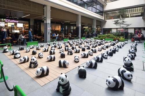 「PANDA GO 香港遊」現已登陸中環街市 Central Market，展期至3月6日。近200隻熊貓雕塑齊集著名的歷史地標，等待大家前來打卡拍照。切勿錯過香港最大型的熊貓主題展覽！🐼❤️  #香港 #香港品牌 #亞洲國際都會 #盛事之都 #盛事香港 #大熊貓 #PANDAGO香港遊 #中環街市