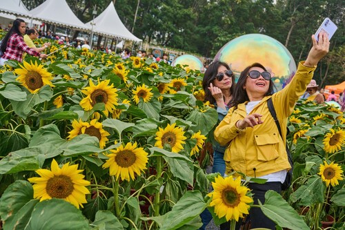 All smiles! The sunflower field is a great spot for a selfie. 🌻  心花怒放！日葵花海是打卡必到之處。🌻  📍 Hong Kong Flower Show 2024 | 香港花卉展覽 2024 🌷 @lcsdplusss 🔎www.hkflowershow.hk/en/hkfs/2024/index.html  #hongkong #brandhongkong #asiasworldcity #megaevents #megaHK #flowershow2024 #angelonia #FloralJoyAroundTown #香港 #香港品牌 #亞洲國際都會 #藝術與文化 #盛事之都 #盛事香港 #花展2024 #香彩雀 #雀躍全城