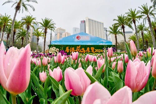 A blooming good show🌸! The Hong Kong Flower Show 2024 (Mar 15-24) opened last week with some 420,000 flowers on display, including about 40,000 angelonias (Angel Flower)🪻. Visitors can also enjoy fragrant East-meets-West fairy tales through vibrant landscapes depicting popular stories such as The Journey to the West and The Wizard of Oz🌼✨. Don't forget to take a selfie in front of our Brand Hong Kong floral wall!😊📸  春暖花開，雀躍全城🌸 年度賞花盛事 #香港花卉展覽（3月15-24日）於上周揭幕，約42萬株花卉同場盛開，包括約4萬株主題花香彩雀🪻。取材自《西遊記》及《綠野仙蹤》的園林造景更讓遊人沉浸在芬芳馥郁的中西方童話故事世界🌼✨。記得到 Brand Hong Kong 的主題花牆打卡留念！😊📸  🌷 @lcsdplusss 🔎www.hkflowershow.hk/en/hkfs/2024/index.html  #hongkong #brandhongkong #asiasworldcity #megaevents #megaHK #flowershow2024 #angelonia #FloralJoyAroundTown #香港 #香港品牌 #亞洲國際都會 #藝術與文化 #盛事之都 #盛事香港 #花展2024 #香彩雀 #雀躍全城
