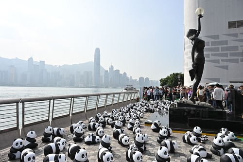 Pandas on parade in Tsim Sha Tsui! 2,500 panda sculptures and their new life-size member, PANDA GO! GUIDE, greeted Hong Kong people and visitors today (Dec 7) in Asia's events capital. Take a look at the lovely moments along the Avenue of Stars!🤩  大熊貓齊聚尖沙咀！2,500 隻熊貓雕塑與「大熊貓導遊」今日（12月7日）在香港與公眾見面，令亞洲盛事之都更添活力。一起欣賞星光大道上的精彩瞬間！  @pandago_fest @arr.allrightsreserved   #hongkong #brandhongkong #asiasworldcity #panda #PANDAGOFESTHK #megaevents #megaHK #香港 #香港品牌 #亞洲國際都會 #大熊貓 #盛事之都 #盛事香港