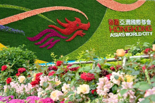 Glorious blooms🌸! The Hong Kong Flower Show 2025 (March 14–23) is ready to set Victoria Park “Ablaze with Glory”! This year's theme features the vibrant Cosmos as its highlight, displayed across six stunning themed zones, alongside blooms from over 200 exhibitors representing 11 countries. Explore creativity with local artist Fapopo’s whimsical floral sculptures made with everyday items, meet mascots “Xiyangyang” and “Lerongrong celebrating the 15th National Games, and finish your visit with a photo at the iconic Brand Hong Kong floral wall -- your perfect selfie spot! 😍  繁花盛放🌸！香港花卉展覽2025今日（3月14日）於維園正式揭幕，展期至3月23日。今年花展以「綻放英姿」為主題，並以生命力旺盛的秋英為主題花。園區內設有六大精心打造的主題造景，並匯聚來自全球11個國家、超過200位參展商的精美花卉展品，滿載驚喜！亮點包括本地藝術家花婆婆的家具藝術，以及第15屆全運會的吉祥物「喜洋洋」與「樂融融」。最後，記得前往香港品牌花牆打卡，感受花海魅力！😍  #hongkong #brandhongkong #asiasworldcity #megaevents #megaHK #flowershow2025 #cosmos #ablazewithglory #香港 #香港品牌 #亞洲國際都會 #藝術與文化 #盛事之都 #盛事香港 #花展2025 #秋英 #綻放英姿