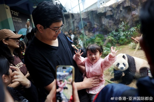 一起展开精彩的大熊猫之旅！由中央政府赠予香港的两只大熊猫安安和可可昨日（12月8日）在香港海洋公园亮相，大批访客前往牠们的新居探访。现在无论你身在何处，均可透过海洋公园网页在指定时段实时观看安安和可可的生活实况，直击大熊猫的可爱瞬间。

图1：小女孩到香港海洋公园探访大熊猫，表现兴奋。 ​