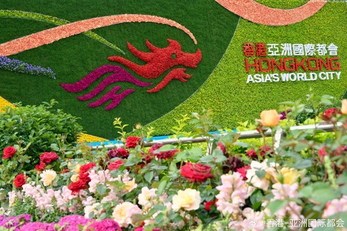 繁花盛放🌺🌸！香港花卉展览2025今日（3月14日）于维园正式揭幕，展期至3月23日。今年花展以“绽放英姿”为主题，并以生命力旺盛的秋英为主题花。园区内设有六大精心打造的主题造景，并汇聚来自全球11个国家、超过200位参展商的精美花卉展品，满载惊喜！亮点包括本地艺术家花婆婆的家具艺术，以及 ​